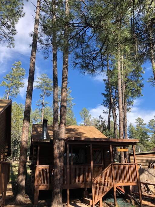 Forest Cabin 1 Hunters Blind Пейсън Екстериор снимка